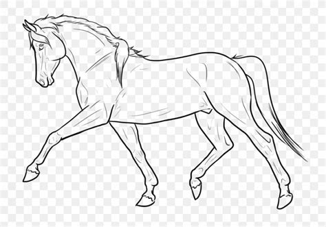 Horse Line Art Drawing, PNG, 900x629px, Horse, Animal Figure, Arm, Art ...