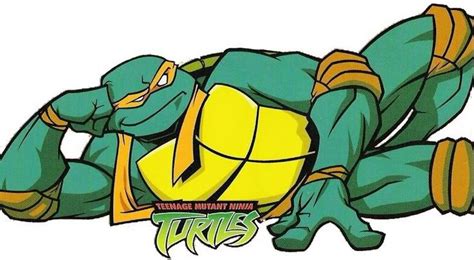 Mikey from the 2003 TMNT cartoon series | Tmnt, Tmnt mikey, Dvd art