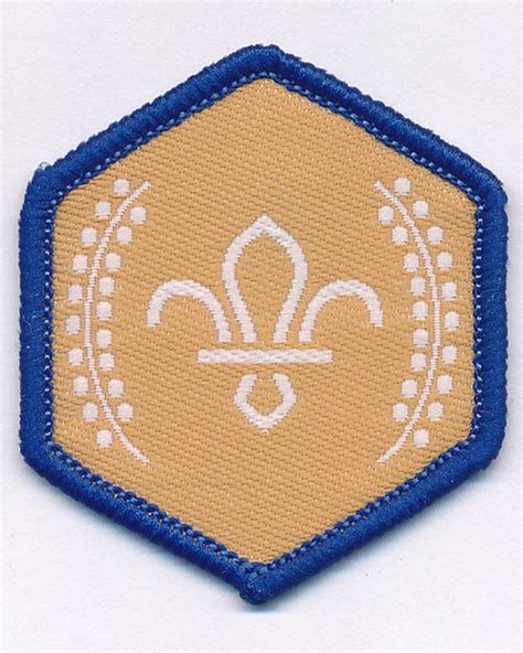 Scouts Badges for Scouts Sections | Scout Store