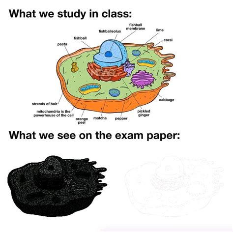 Liven Up Life With These Biology Memes - Biology | Memes