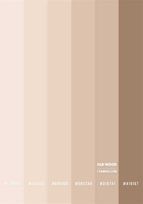 Beige Colour Palette | Soft Neutral Colour Scheme