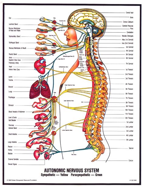 Different Causes of Neuropathy and There Treatments