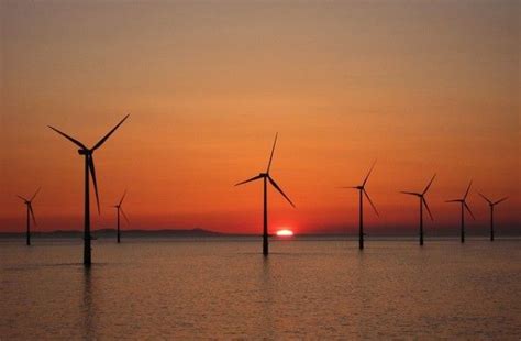 US Sells Sea Areas For Offshore Wind Farms Offshore Wind Farms, Energy ...