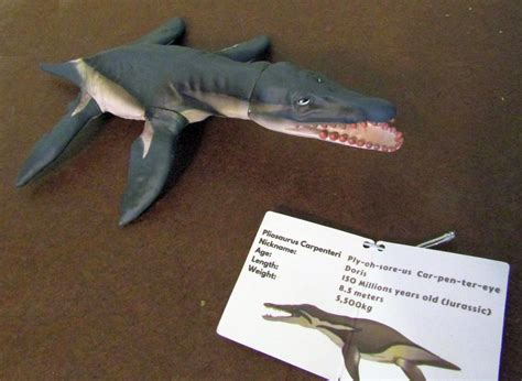 Pliosaur toy by Tone Hitchcock for the Bristol Museum