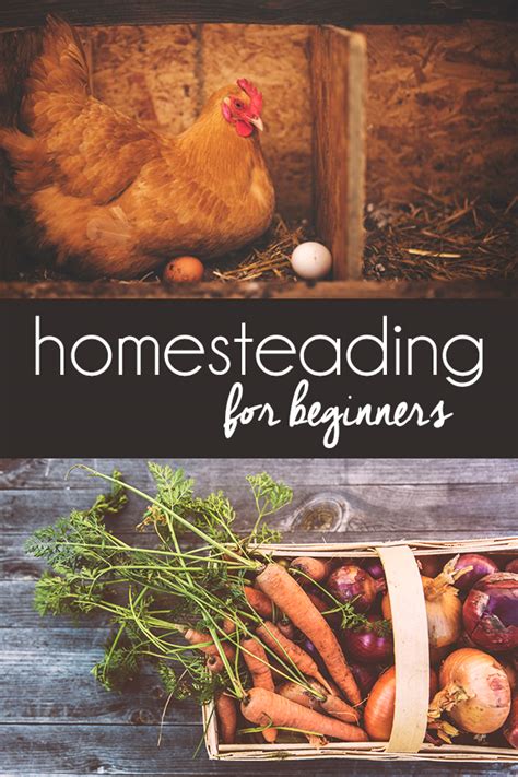 Homesteading for Beginners