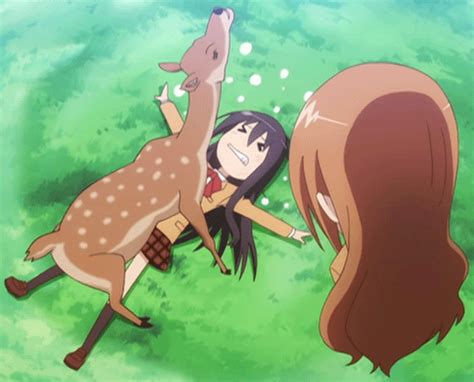 Animales pervertidos😈 | Wiki | •Anime• Amino