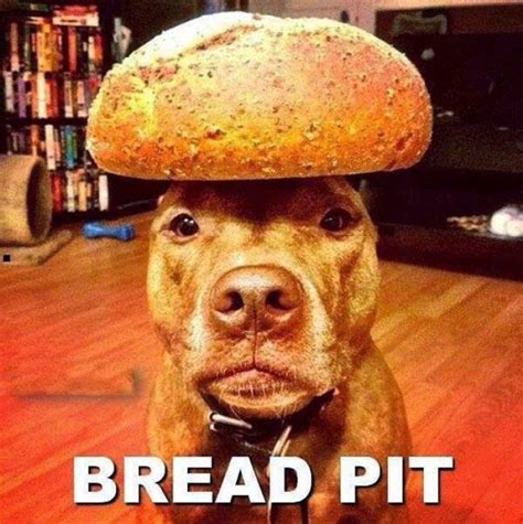 Funny Bread Pit Dog - 9buz