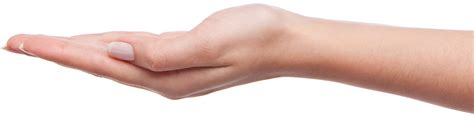 Collection of Holding Hands PNG HD. | PlusPNG