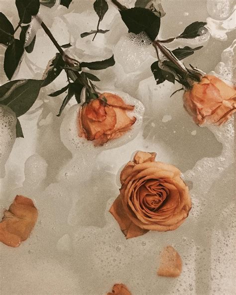 Mia Colona on Instagram: “🌹 ” | Flower aesthetic, Orange aesthetic ...