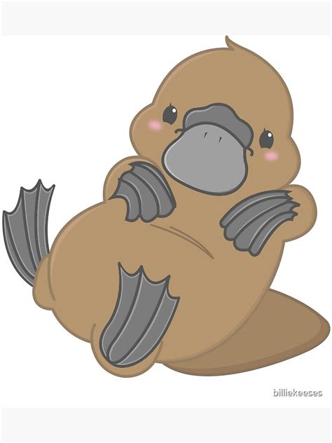 "Cute Kawaii Platypus" Poster by billiekeeses | Redbubble