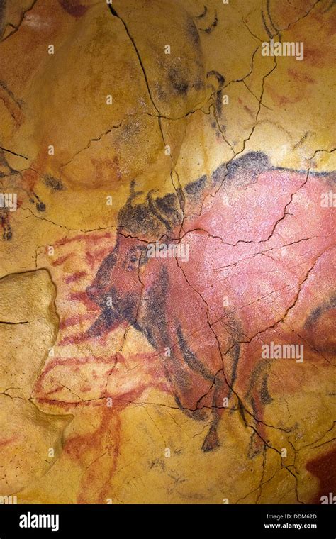 Upper Paleolithic cave paintings in the Cave of Altamira replica ...