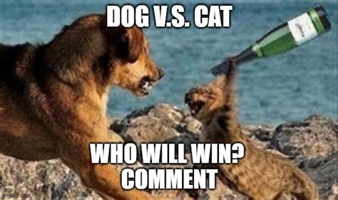 cat vs. dog - Imgflip