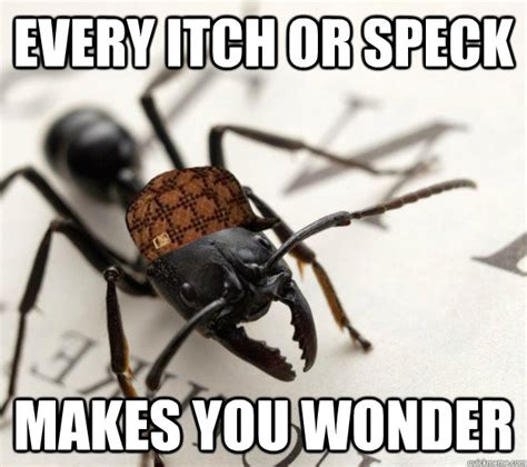 Scumbag Ant memes | quickmeme