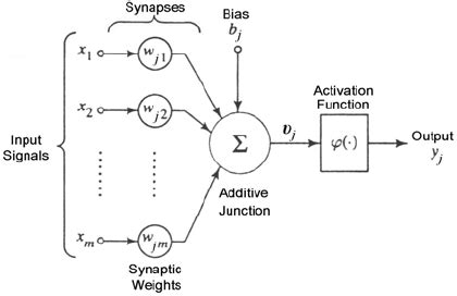 Artificial Neuron models and its parts. Source: Adapted from Haykin ...