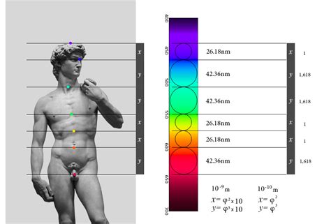 Light, the Human Body, Chakras and the Golden Ratio - The Golden Ratio: Phi, 1.618