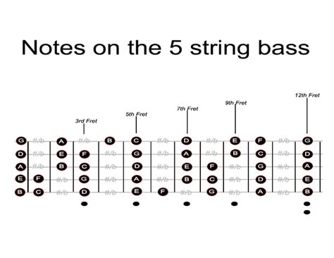 Fretboard Notes Image - Theory - BassBuzz Forum