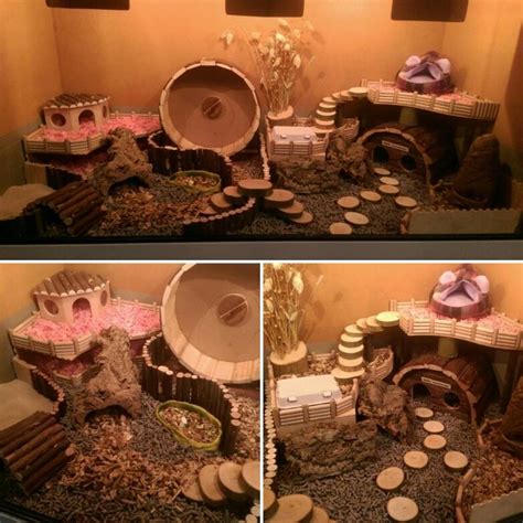 This is such a cute little forest themed small rodent cage idea … | Hamster habitat, Hamster diy ...