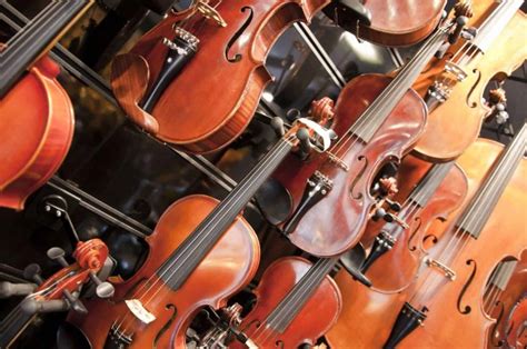 Different Types Of Violins - What Are They & Which Is Best For You?