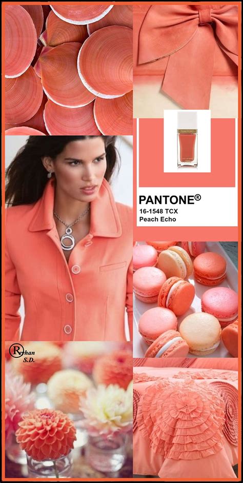 '' Pantone -Peach Echo '' by Reyhan S.D. | Peach echo, Pantone color, Pantone