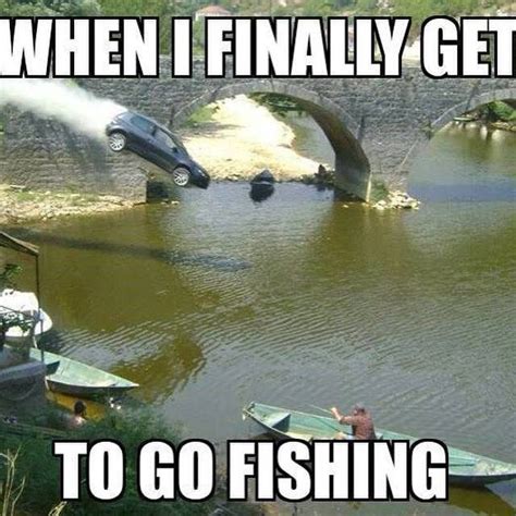 Funny Fish Memes That Will Make You Laugh