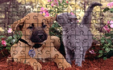 Jigsaw Puzzles Ultimate Game - Animals:Amazon.com:Appstore for Android