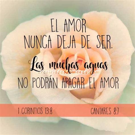 ¿Cómo es el amor según la Biblia? | El amor biblia, Biblia, Cantares 8 7