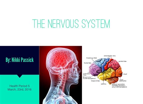 Nervous System Project - Screen 7 on FlowVella - Presentation Software for Mac iPad and iPhone