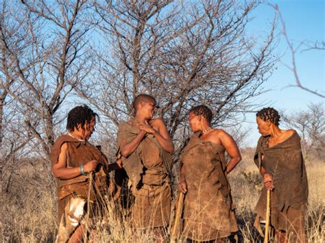 Kalahari Bushmen Photos Stock Photos, Pictures & Royalty-Free Images ...