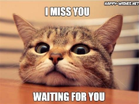 60 Cutest I Miss You Memes Of All Time - SayingImages.com