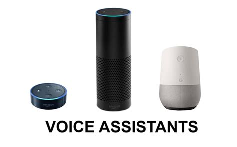 Voice Activated Virtual Assistants: What to Know and Why You Need One