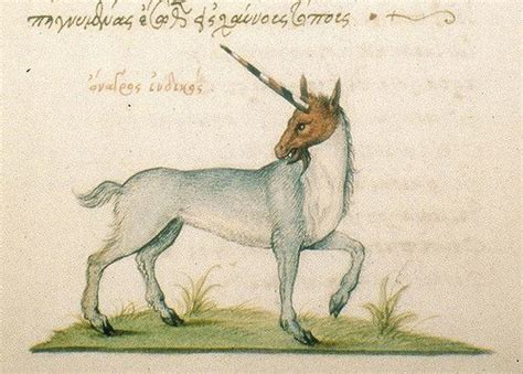 Unicorn with a tricolored horn | Ancient unicorn, Mythological ...