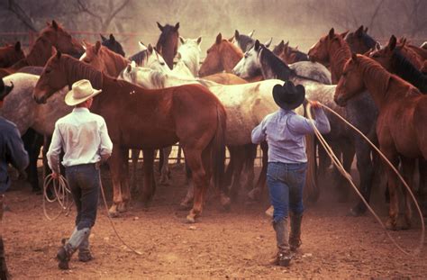 Great Cattle Ranches of Texas