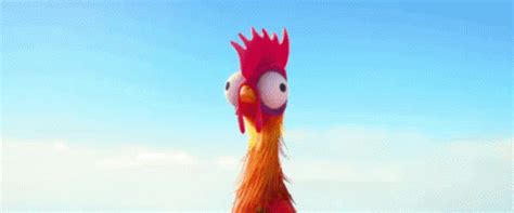 The Popular Rooster Crowing GIFs Everyone's Sharing