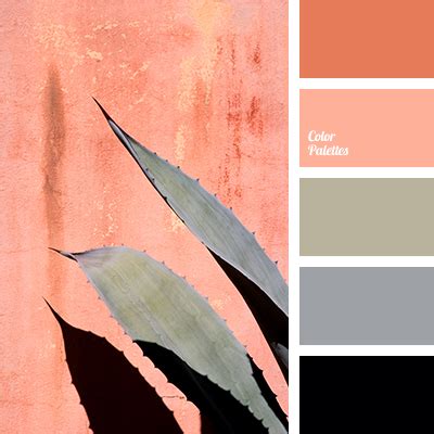 color of flamingo feathers | Color Palette Ideas