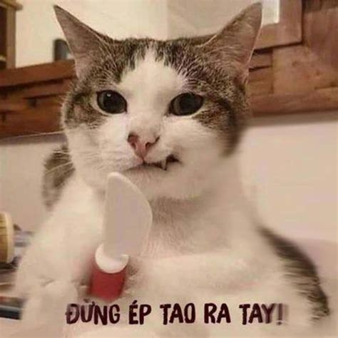 Tổng hợp Meme tức giận cute, dễ thương, tức ghê, giận tím người