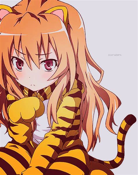 The Palm Top Tiger, in a tiger outfit! : r/toradora