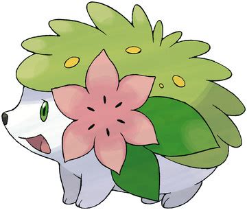 Shaymin Pokédex: stats, moves, evolution & locations | Pokémon Database