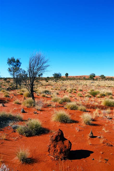 Great Victoria Desert, Australia - Viaggi, vacanze e turismo: Turisti ...