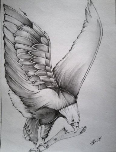 Pencil sketch-Eagle! | Eagle drawing, Eagle sketch, Pencil sketch drawing