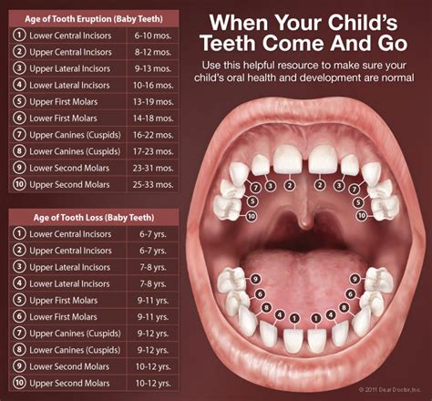 options for adults with baby teeth - Cody Huynh