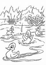 Free & Easy To Print Duck Coloring Pages  Tulamama sketch template