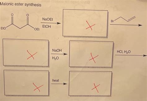 Solved provide the major product of the multistep synthesis | Chegg.com