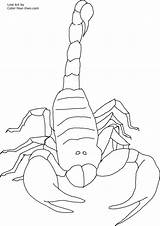 Free Printable Scorpion Coloring Pages For Kids sketch template