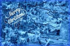 Merry Christmas Forest Free Stock Photo - Public Domain Pictures