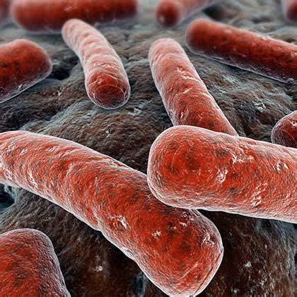 Tuberculosis extrapulmonar: causas, síntomas y tratamiento