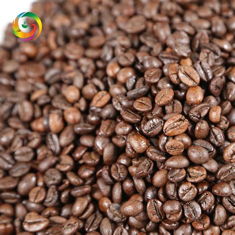 Robusta coffee bean S16 | VietNam Coffee Group