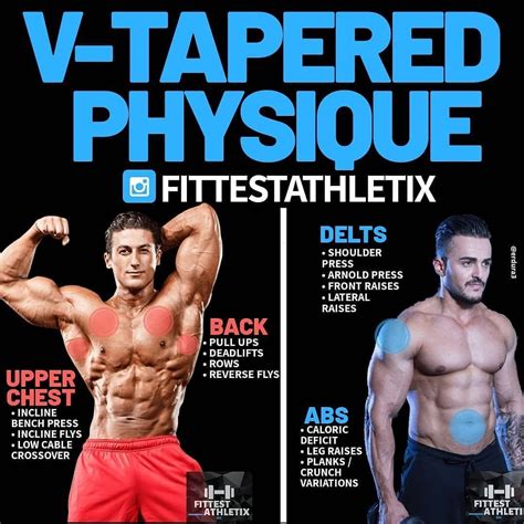 The 5 Most Effective Shoulder Dumbbell Exercises for a V-taper Physique - GymGuider.com | 筋トレ