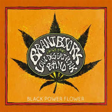 Brant Bjork And The Low Desert Punk Band ‎– Black Power Flower vinyl.rip : Brant Bjork : Free ...