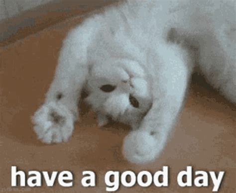 Good Day Sir GIF – Good Day Sir – discover and share GIFs