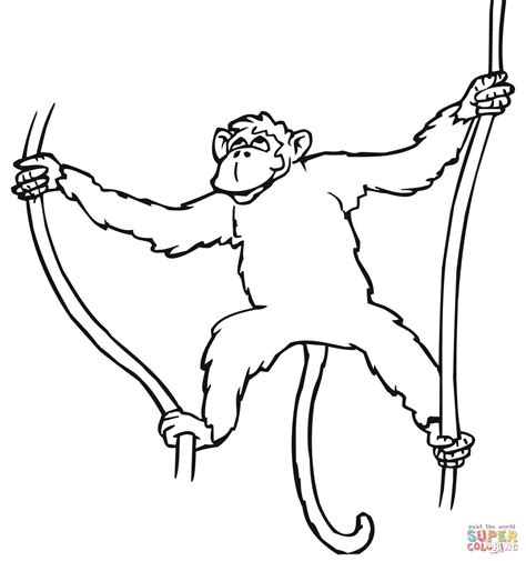 Monkey Hanging From Tree Drawing at GetDrawings | Free download